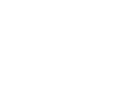 Chaniartoon Film Festival